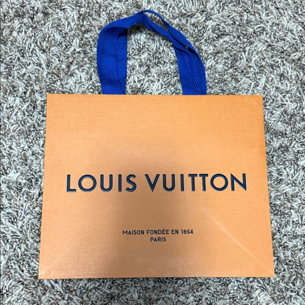 Louis Vuitton Storage Bag